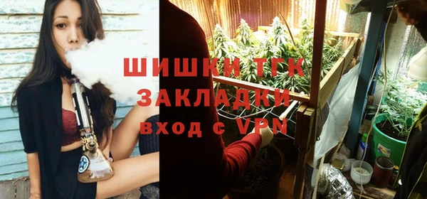 прущая мука Няндома