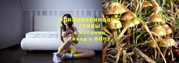 мескалин Осинники